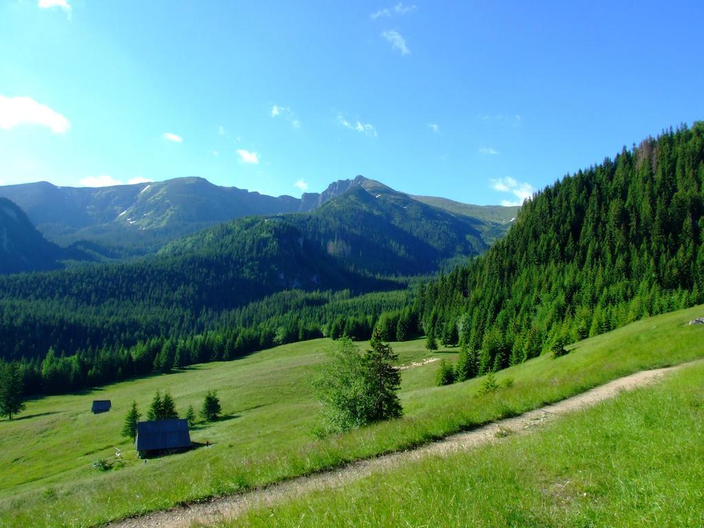 Hotel Gorski Kalatowki Zakopane Exteriör bild